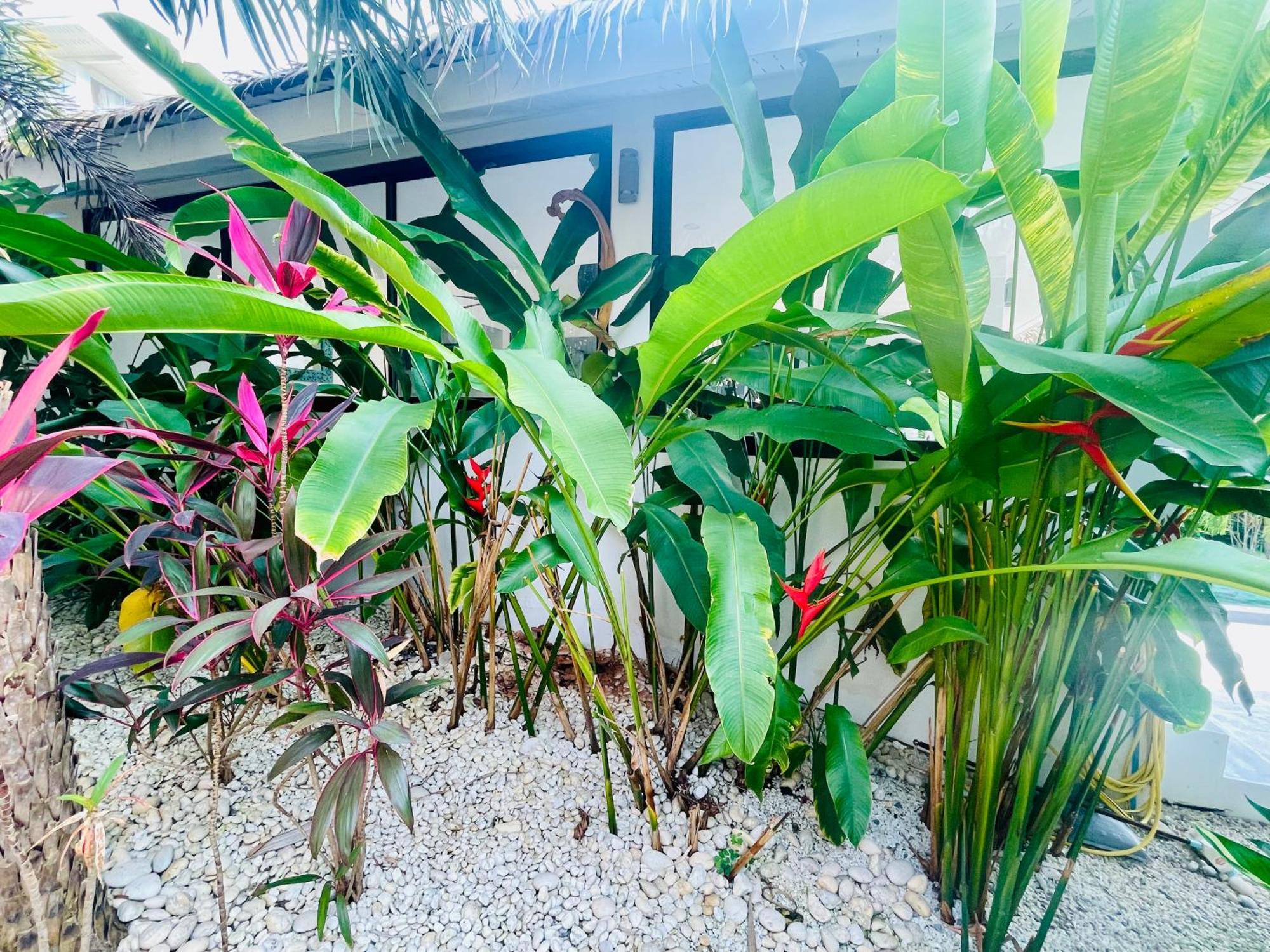 קופנגן Surya Villa מראה חיצוני תמונה